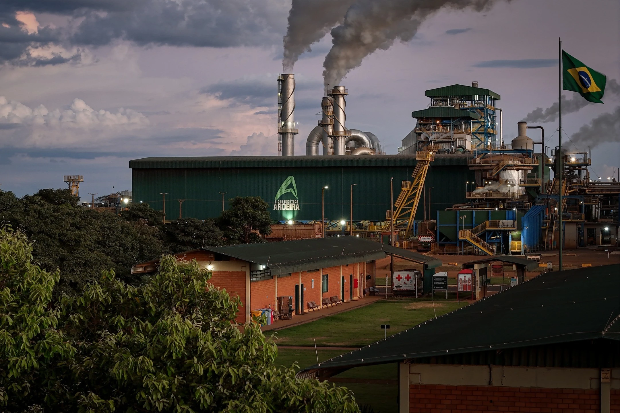 Bioaroeira Energética