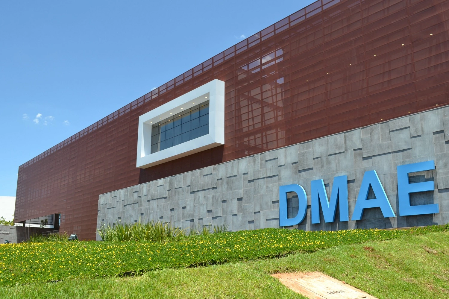 DMAE